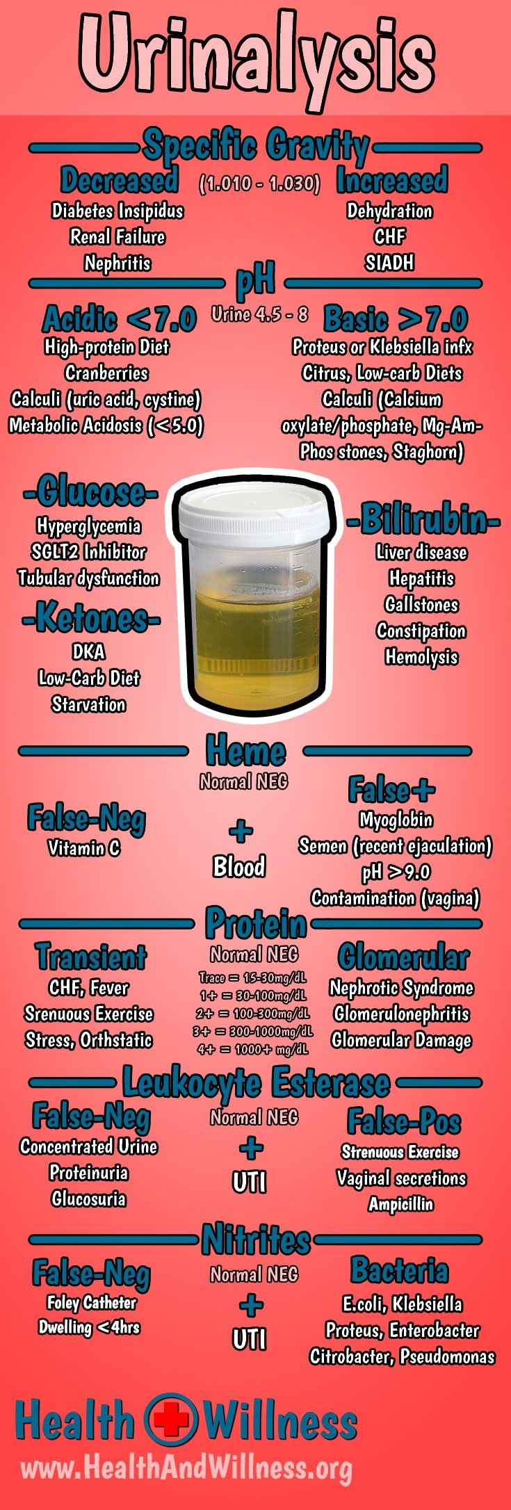 What Does High Specific Gravity And Protein In Urine Mean