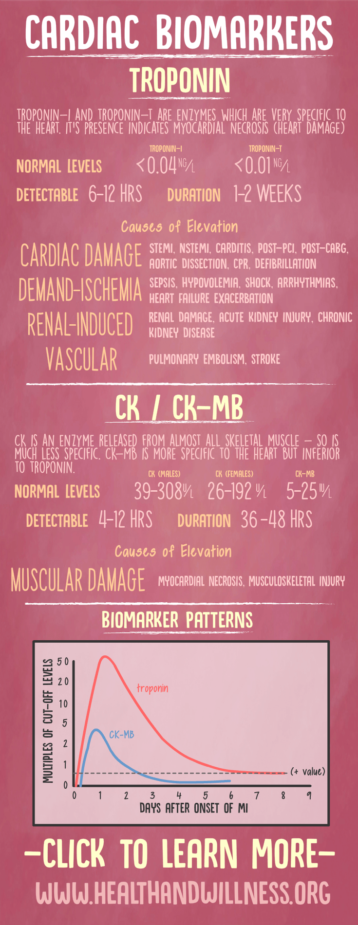 Cardiac Lab Interpretation Troponin Ck Ck Mb And Bnp Health And Willness