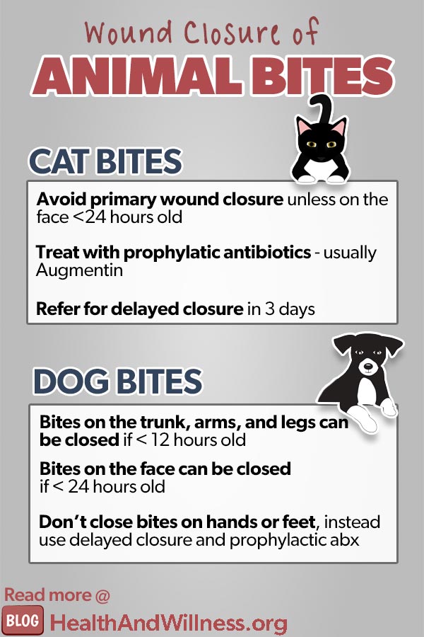 what antibiotics are given for dog bites