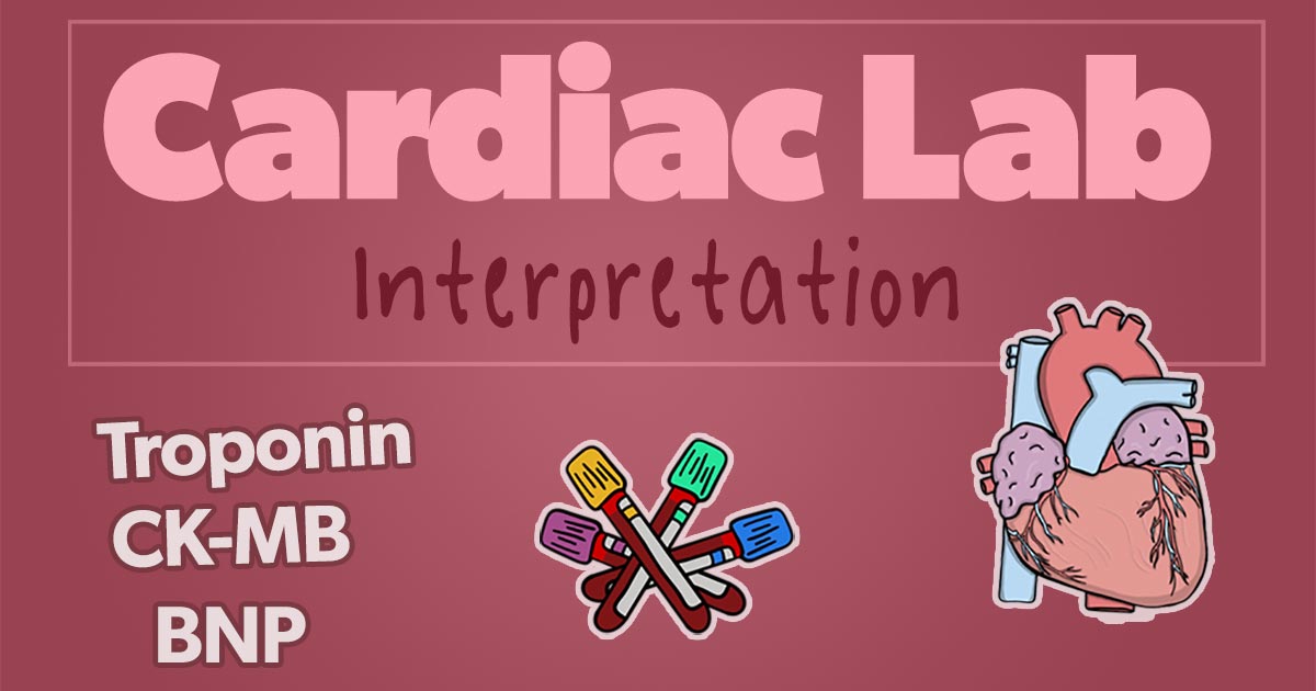 Normal troponin levels: Healthy ranges and what high levels mean