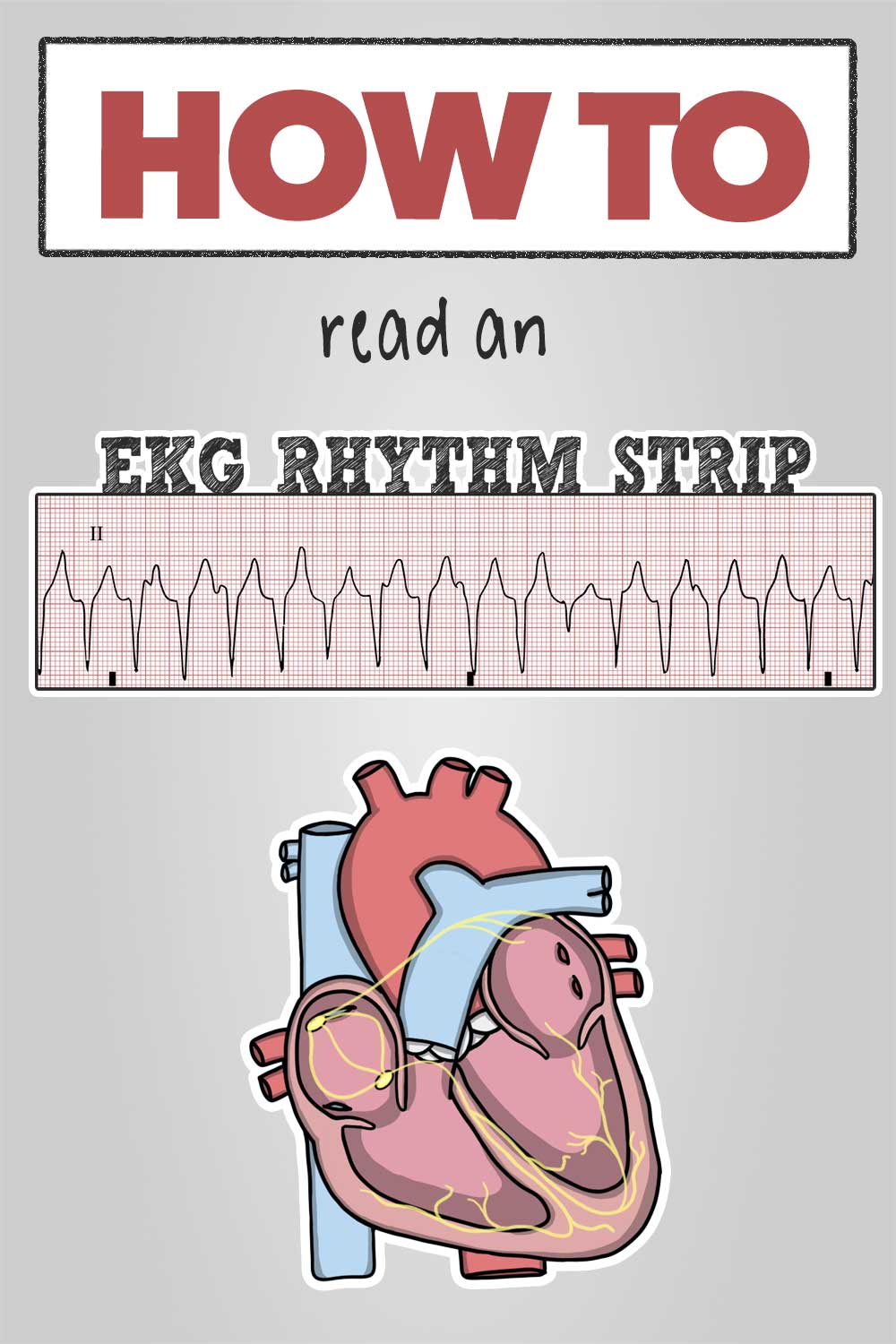 How to read an EKG Rhythm Strip - Pin Share