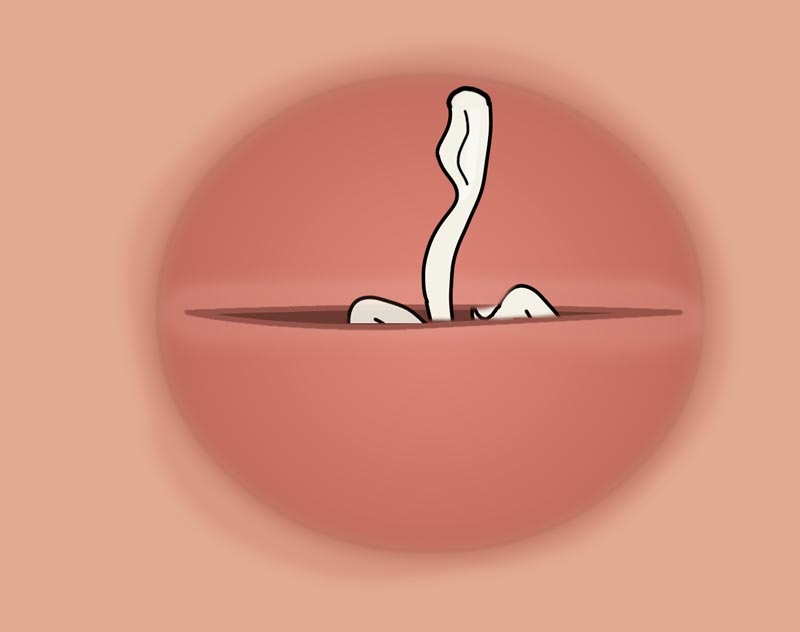 packing-tail