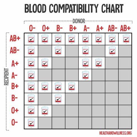 Blood Transfusion Reactions: A Comprehensive Nursing Guide | Health And ...