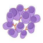 Vitamin D in a softgel