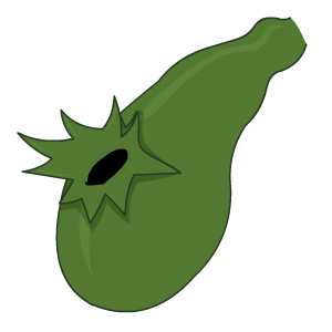 A perforated gallbladder